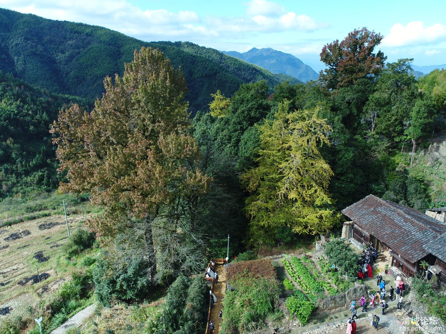 DJI_0015.JPG