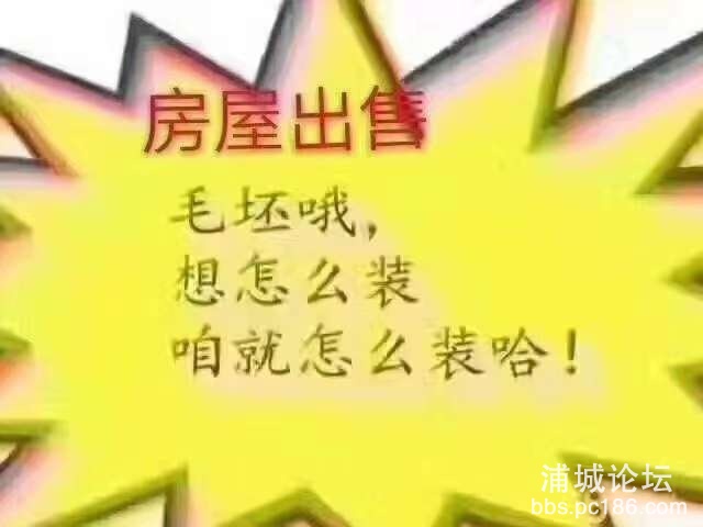 front2_0_FoYx6PjBOHE1_oPFOrDrsAuvybrg.1614474461.jpg