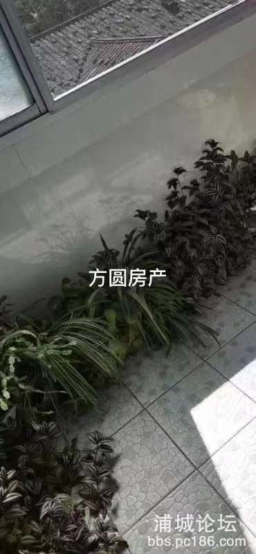 front2_0_FpvPDw4SQgpKMTAIjekCPRV3CnGR.1615261575.jpg