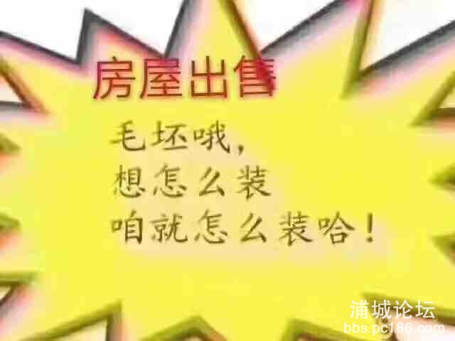 front1_0_FtqMAgVh_8pNLRRxZEvFx52pt2Yi.1616723803.jpg