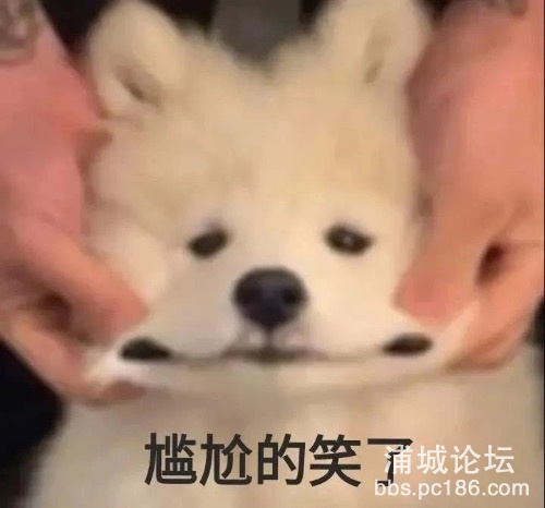 2E8CBCFA-D7CF-4340-AC01-08DB2F0F92EA.jpeg
