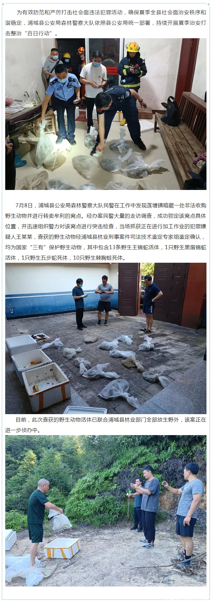 成效初现!浦城县森林警察大队开展夏季治安打击整治“百日行动”_03.jpg