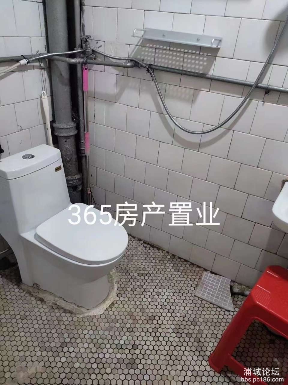 20230212130152front2_0_243053_FgTHi6Go6GkBZA-yKjS2GZEzd612.jpg