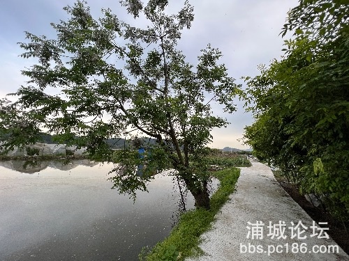 C8D0046E-C77D-4EBD-A1F9-1D068FA054A7.jpeg