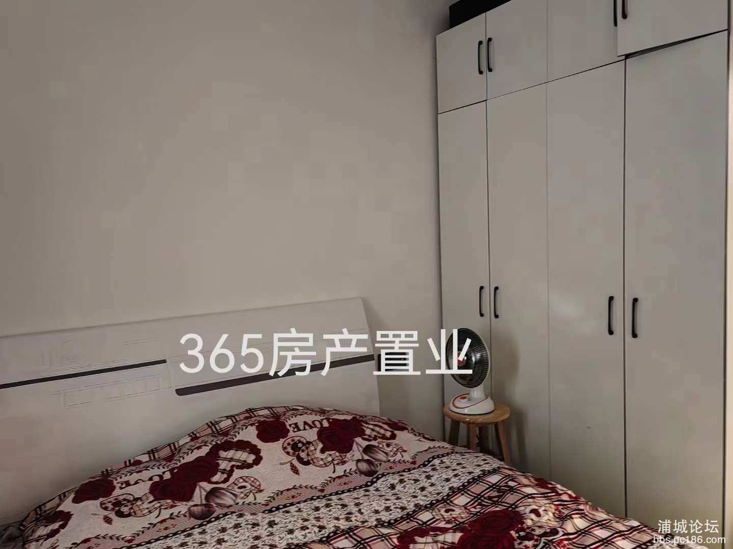 20240731174313front2_0_247151_Fn6vPMRwuPOpBrpgmB4E2dOMG-pJ.jpg
