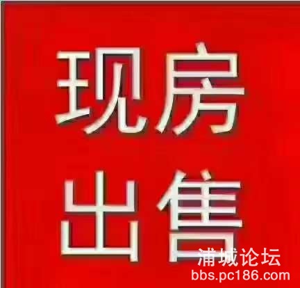 20240807153746front2_0_243053_FsTRG0JDX3jbX2gAuqVO7fBXS2On.jpg