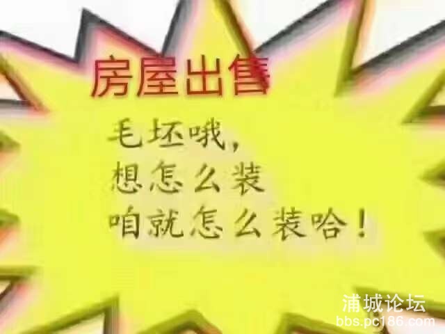 20240926221047front2_0_243053_Fmo2bvT8vJ2vcagFB_fFMhG5IVnG.jpg