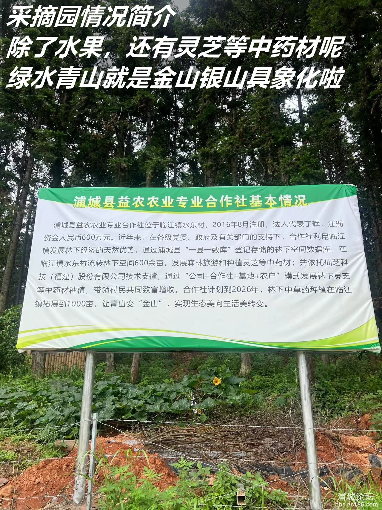 微信图片_2025-06-23_215728_642_副本.jpg