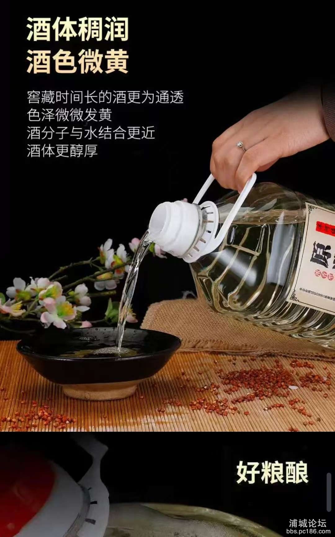 20250817165544front2_0_233329_Fugd_MphMC_xDFgH_8lXMZcyoqza.jpg