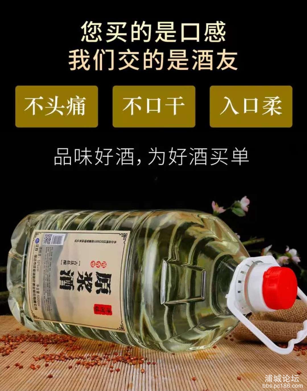 20250817165544front2_0_233329_FuD2UooSYg4VfBq6HwTDNxLWrow3.jpg